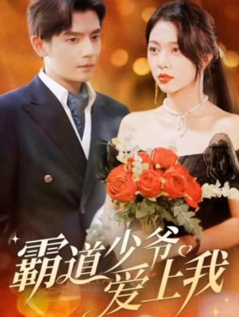 霸道少爷爱上我1-20集