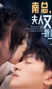 南总，夫人又出新款了全集