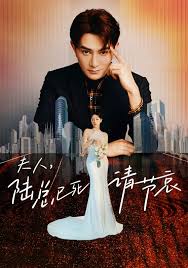 夫人，陆总已死请节哀全集 (下)