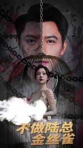 掌中玩物，不做陆总金丝雀全集 (下)