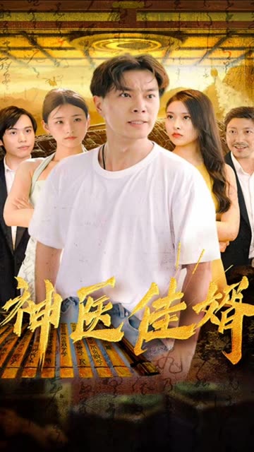 神医佳婿全集(大结局)