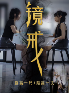 镜戒全集(大结局)