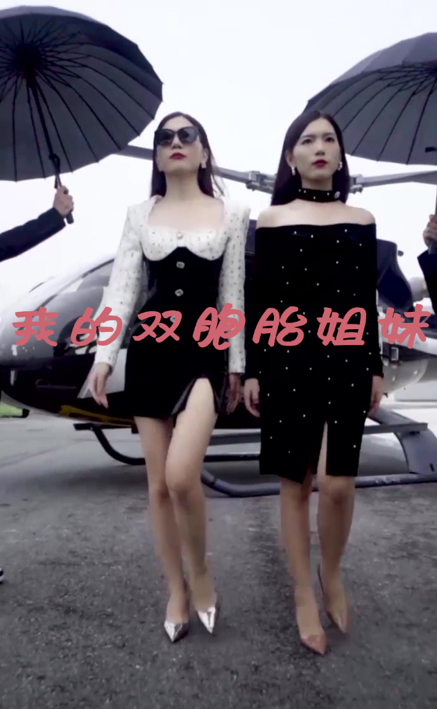 我的双胞胎姐妹全集(大结局)