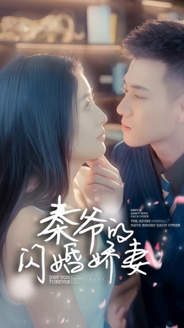 秦爷的闪婚娇妻全集(大结局)