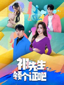 祁先生，领个证吧全集(大结局)