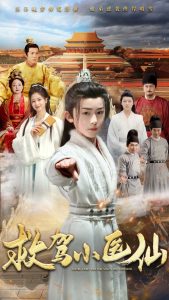 救驾小医仙全集(大结局)