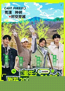 重生之我在2005年种树