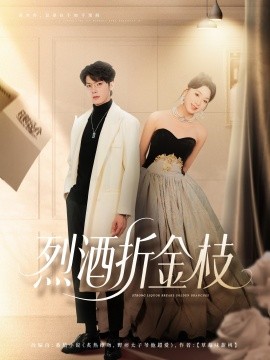 烈酒折金枝(全集)
