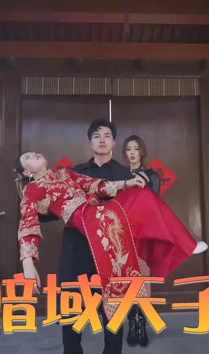 暗域天子全集(大结局)