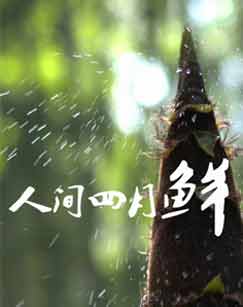 人间四月鲜 第二季(全集)