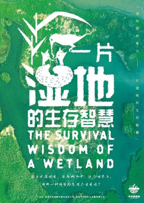 深圳自然笔记(全集)