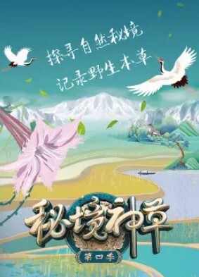 秘境神草 第四季(全集)