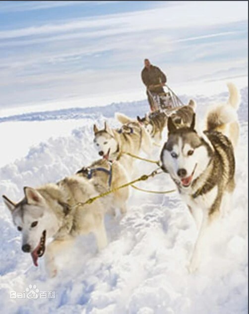 玩转体育(全集)